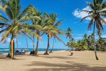 پانسیون La Botanica Tropical