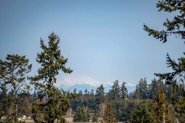 Port Angeles Home: 7 Mi To Olympic Natl Park!