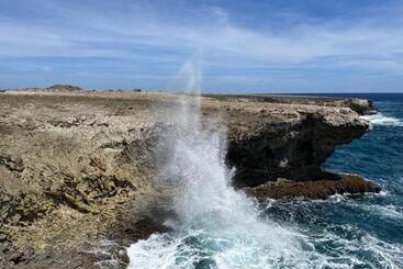 هتل Bonaire 2 Stay Playa