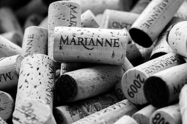 Marianne Wine Estate