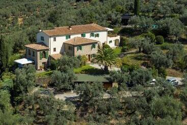 پانسیون Olive Tree Suites Farmstay Villa