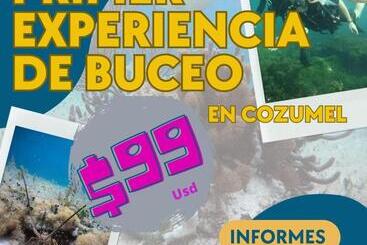 پانسیون Divershostalcozumel