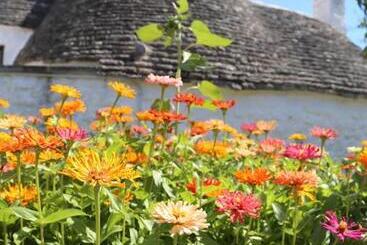 تختخواب و صبحانه Trulli Del Bosco