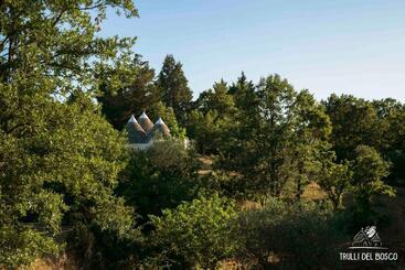 تختخواب و صبحانه Trulli Del Bosco