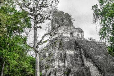 هتل Jaguar Inn Tikal