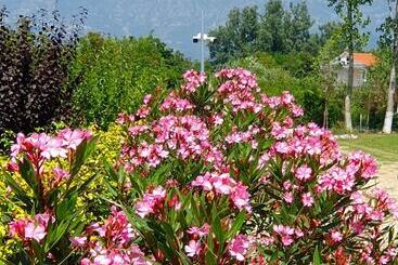 هتل Nerium Garden Inn Tirana Airport