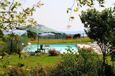 تختخواب و صبحانه Collina Blu