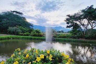 Dexamano Hotel & Resort
