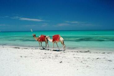 Tamalou Djerba