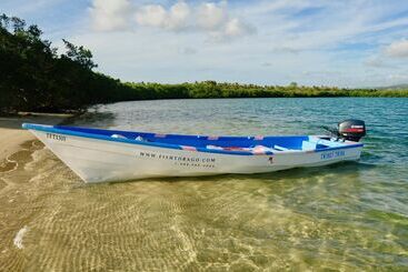 Angel Fish Cove
