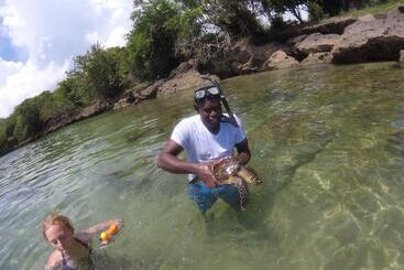 Angel Fish Cove
