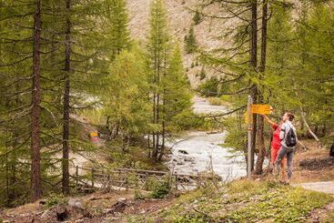 هتل The Capra Saasfee