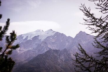 酒店 The Capra Saasfee
