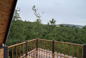 Queen Ci̇ty Hotel And Bungalov