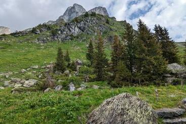 Alberg Berggasthaus Gumen