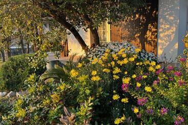 تختخواب و صبحانه La Casa Di Laura