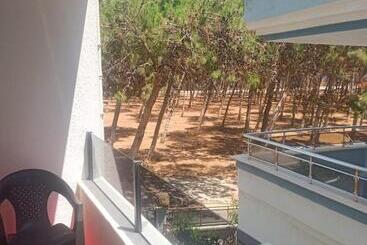 تختخواب و صبحانه Didim Palace