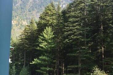 هتل Neelgiri   Manali Diaries