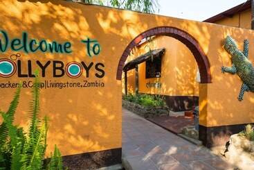 هاستل Jollyboys Backpackers