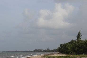 هتل Palmento Grove Garifuna Eco Cultural & Healing Institute