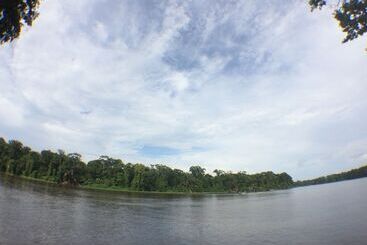 Rana Roja Lodge - Tortuguero