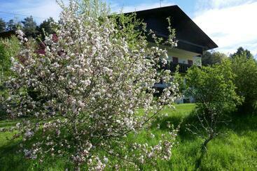 هاستل Rooms Kronblick