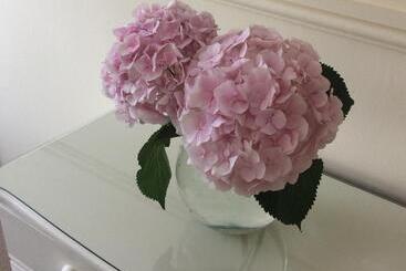 تختخواب و صبحانه Rosebank Guest House