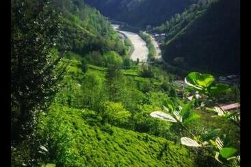 Begi Apart Bungalows Hotel   çamlıhemşin