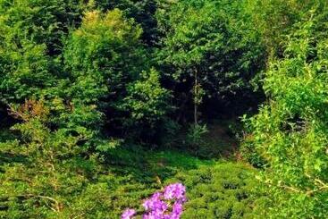 Begi Apart Bungalows Hotel çamlıhemşin