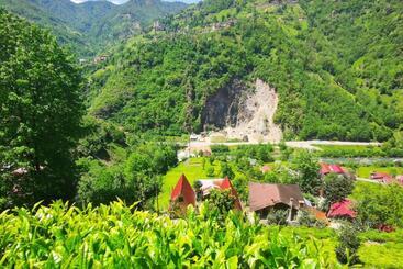 Begi Apart Bungalows Hotel   çamlıhemşin