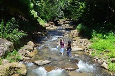 پانسیون Nature S Paradise At Marigot Bay