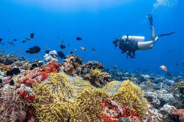 Finolhu Baa Atoll Maldives, A Member Of Design Hotels
