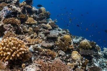 Finolhu Baa Atoll Maldives, A Member Of Design Hotels