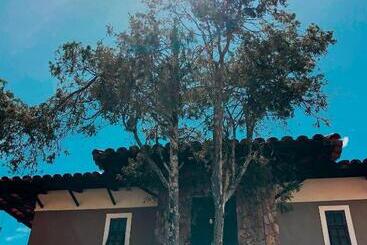Reges Hostel