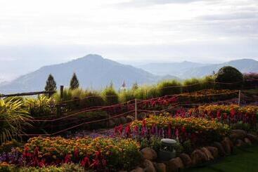 هتل Pino Latte Resort And