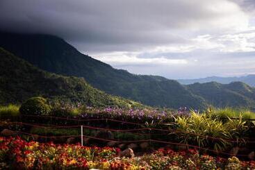 هتل Pino Latte Resort And