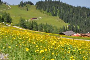 هتل Appartement Schattauer
