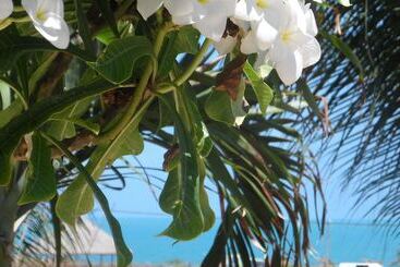 هتل Residencia Oceanos