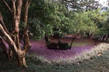 هتل Villa Deifiori