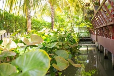 هتل Warakorn Baansuan Amphawa