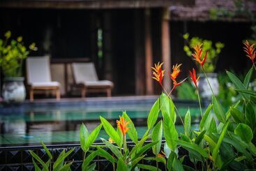 هتل Azalea Village Wellness Resort