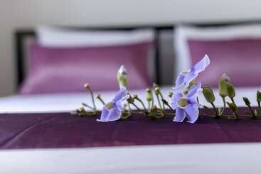 The Lantern Hostel And Spa