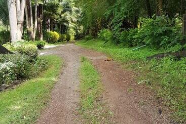 Phanom Bencha Mountain Resort