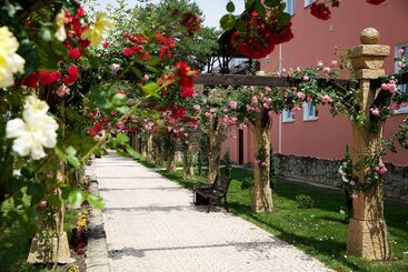 Отель Alean Family Resort & Spa Riviera   All Inclusive