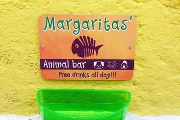 هتل Viva Margarita