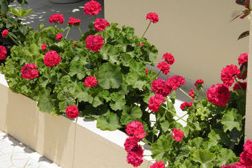 דירות לתיירים The Perfect Spot Luxury Apartments