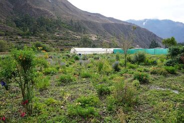 هتل El Albergue Ollantaytambo