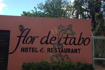 هتل Flor De Itabo