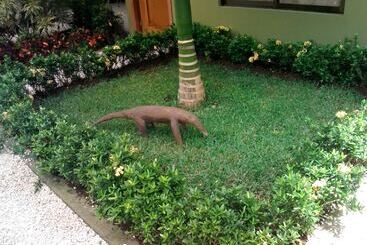 هتل Hostel Backpackers La Fortuna