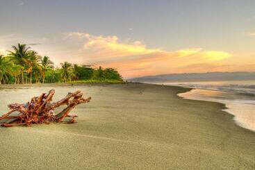 هتل Iguana Lodge Beach Resort